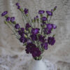 Dark Purple Carnations Mini