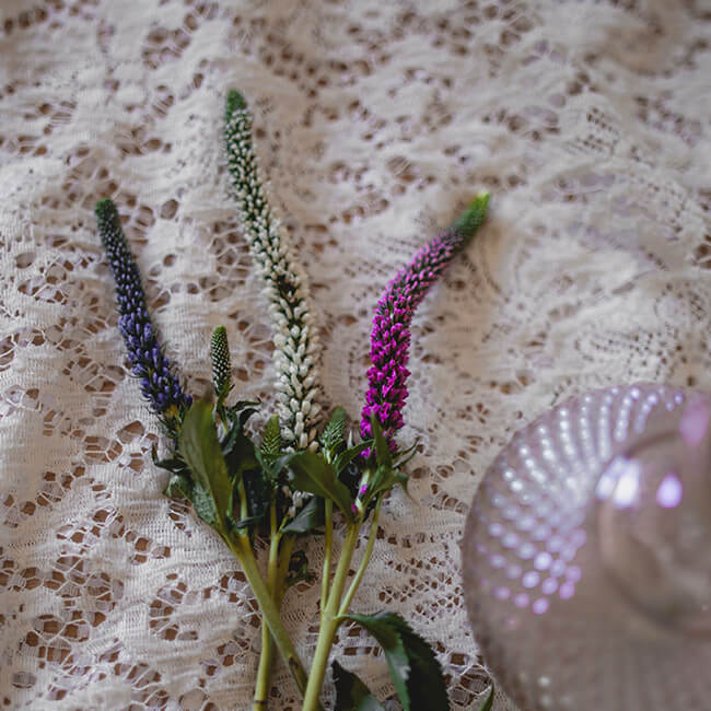 Indigo Veronica Wedding Flowers