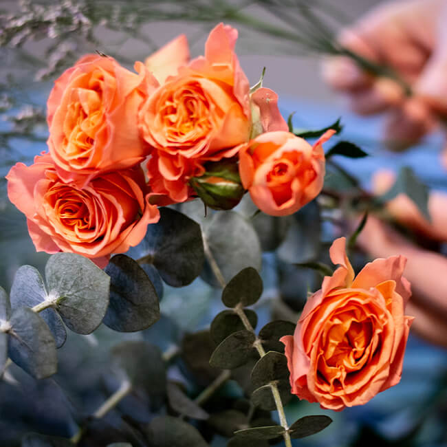 Orange Roses Spray