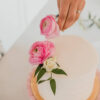 Pink Ranunculus Flower Delivery