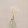 Ranunculus white you floral