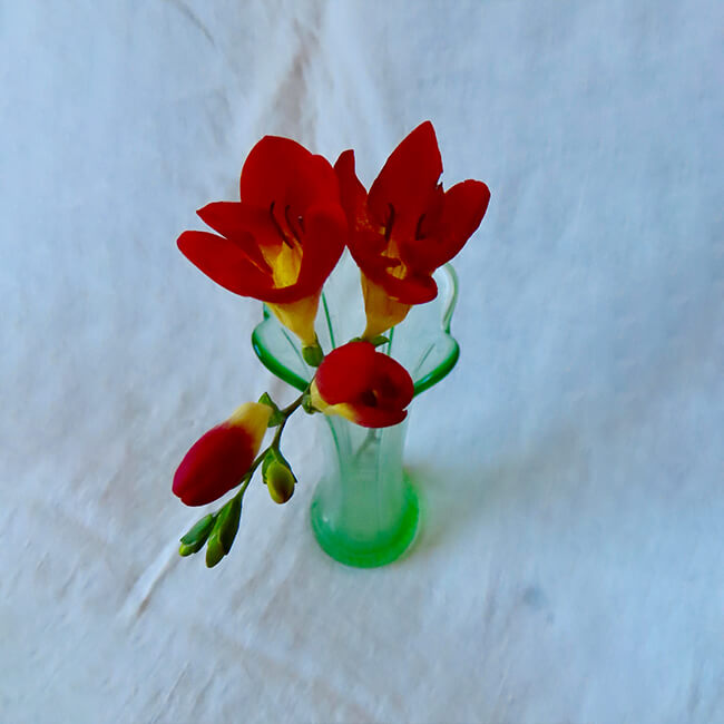 Red Freesia Florist Winnipeg