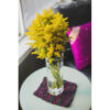 Solidago Edmonton Florists