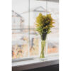 Solidago Florist Winnipeg