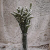 White Statice Flower Delivery