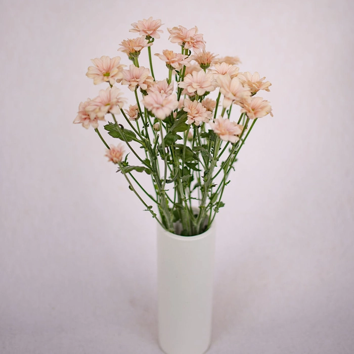 youfloral pink mums