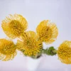 youfloral yellow pincushion