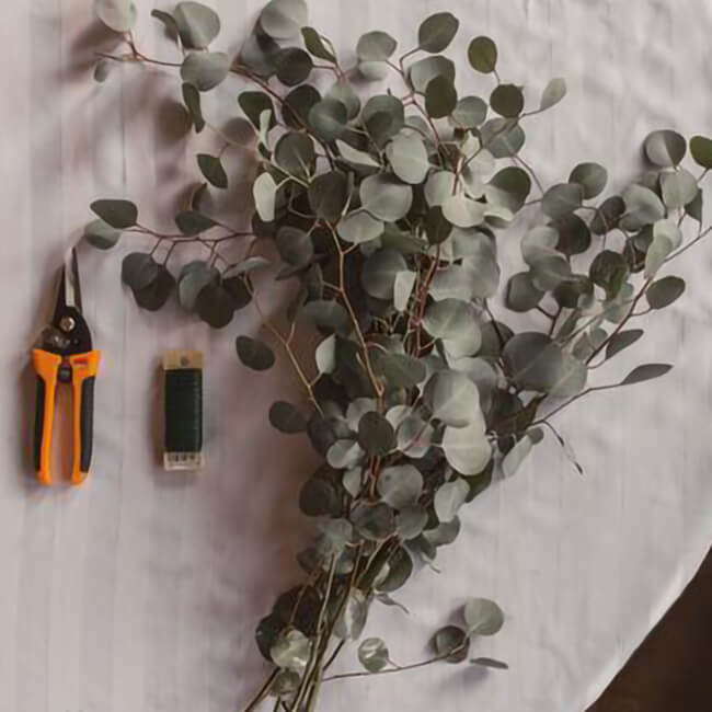 Eucalyptus Garland DIY Gather Your Supplies