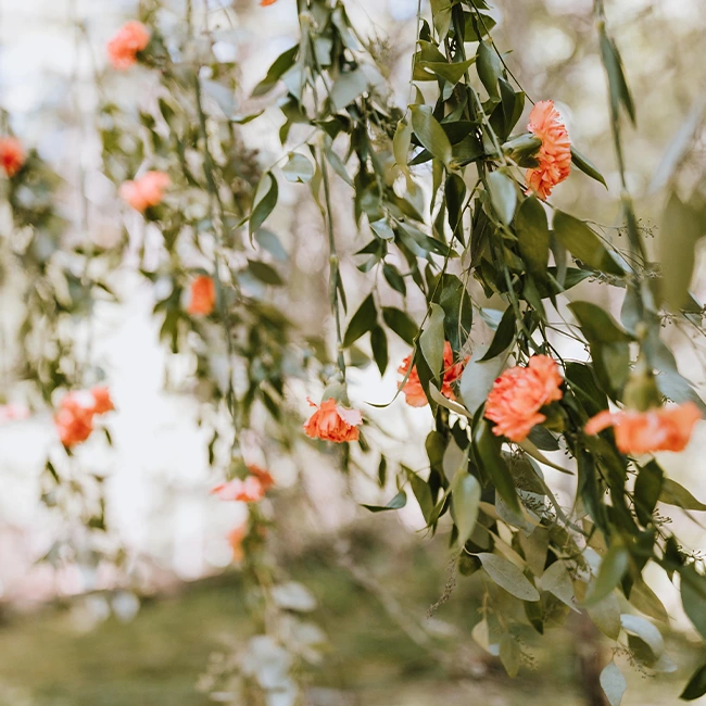 Four Awesome Tips for Choosing Your Wedding Flowers